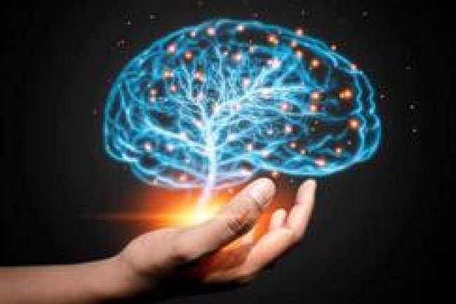 The Currency of Reason: Understanding the  Mind's Processes