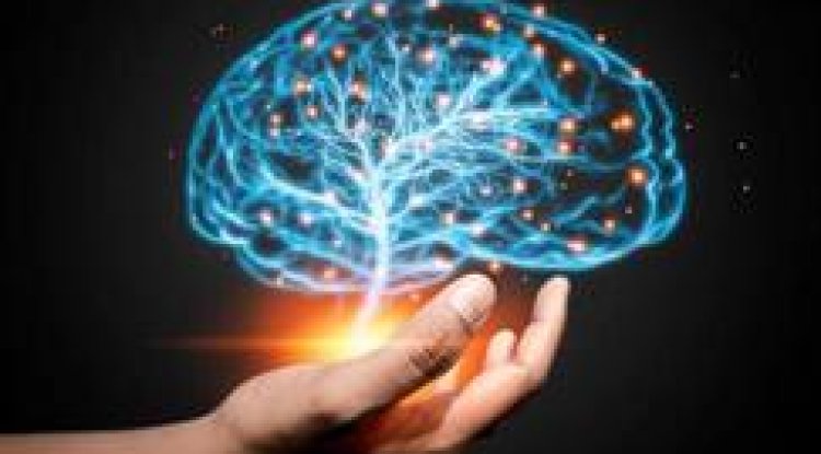 The Currency of Reason: Understanding the  Mind's Processes