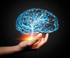 The Currency of Reason: Understanding the  Mind's Processes